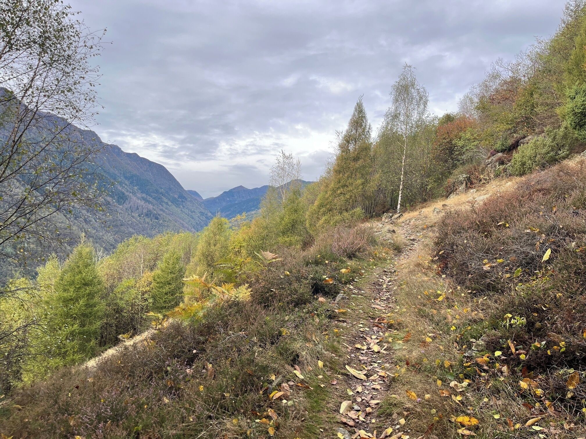 A mountain trail with a dirt path surrounded by autumn foliage and trees.