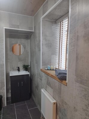 Shower, towels, soap, toilet paper