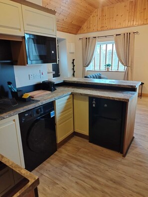 Réfrigérateur, micro-ondes, four, bouilloire électrique