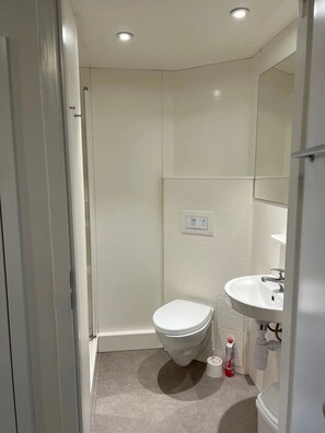 Studio, non-fumeur | Salle de bain