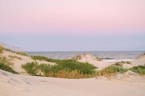 Una playa con dunas de arena y vegetación.