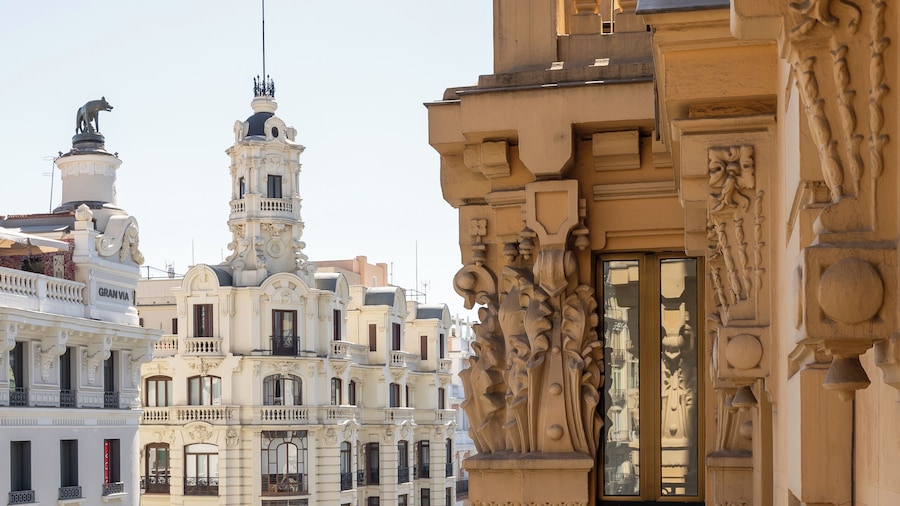 Colectia Stays Gran Vía