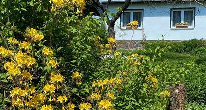 Ferienhaus Elsterblick Ruhige Lage, Großer Garten, eigene Terrasse und Parkplatz