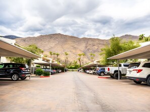 Property grounds - New: Sunny Palm Springs 1BR Oasis (Palm Springs)