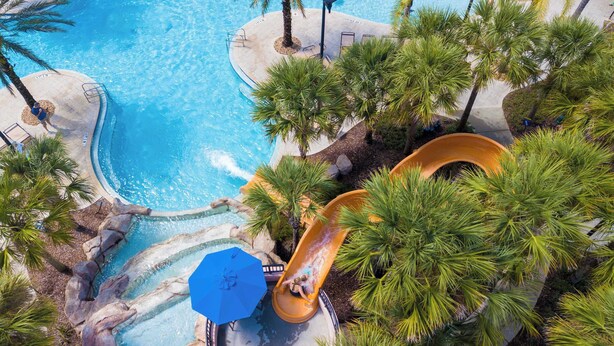 Un área de piscina con tobogán de agua, palmeras y sillas de descanso.