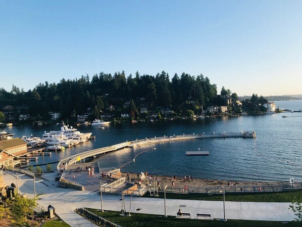 Marina - Bellevue DT Luxurious 5BR Mansion| Walk to QFC (Bellevue)