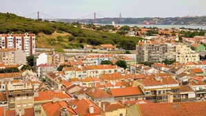 A cityscape with dense residential buildings, a prominent bridge, and a hill with greenery.