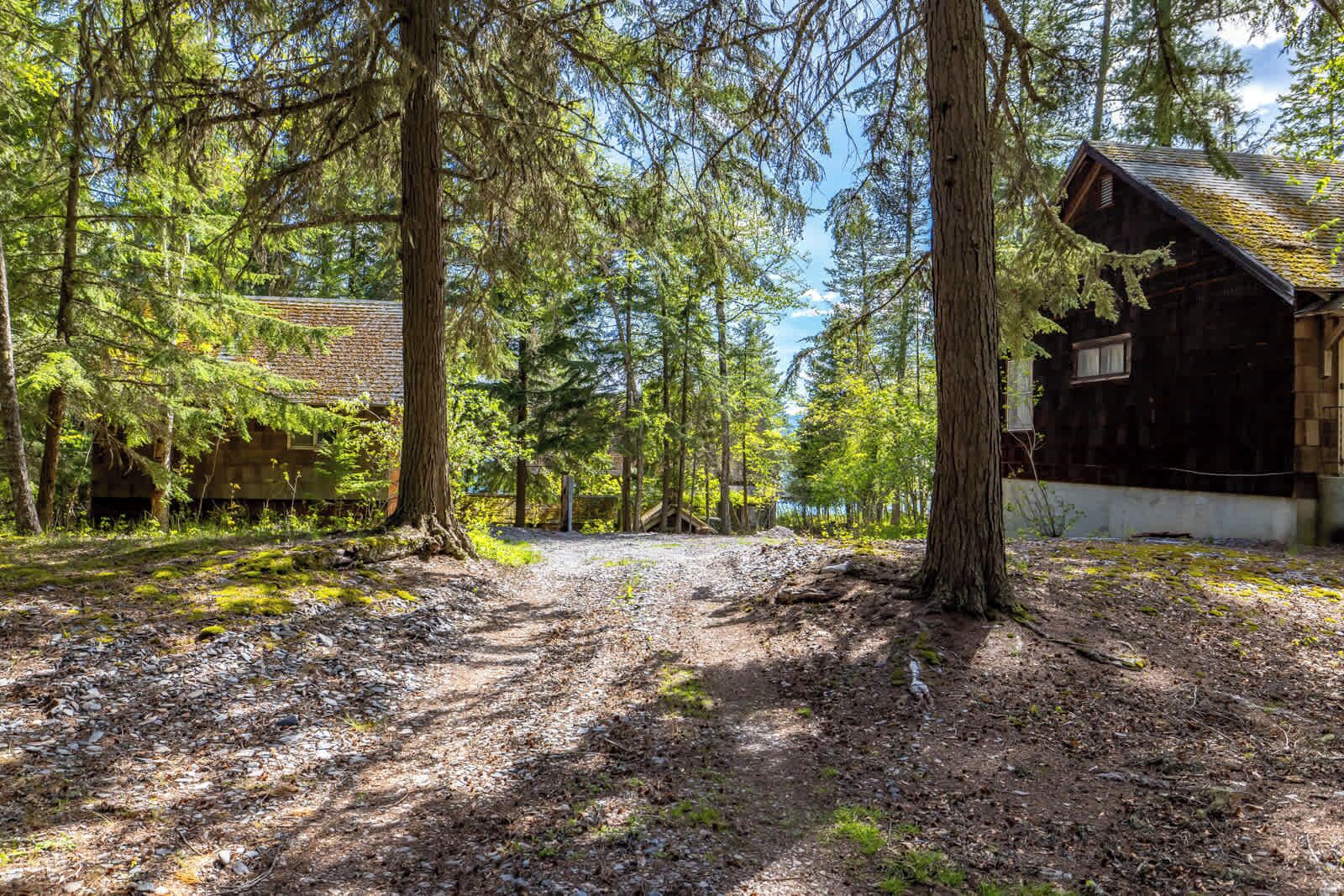 A rustic cabin surrounded by tall trees and a gravel path.