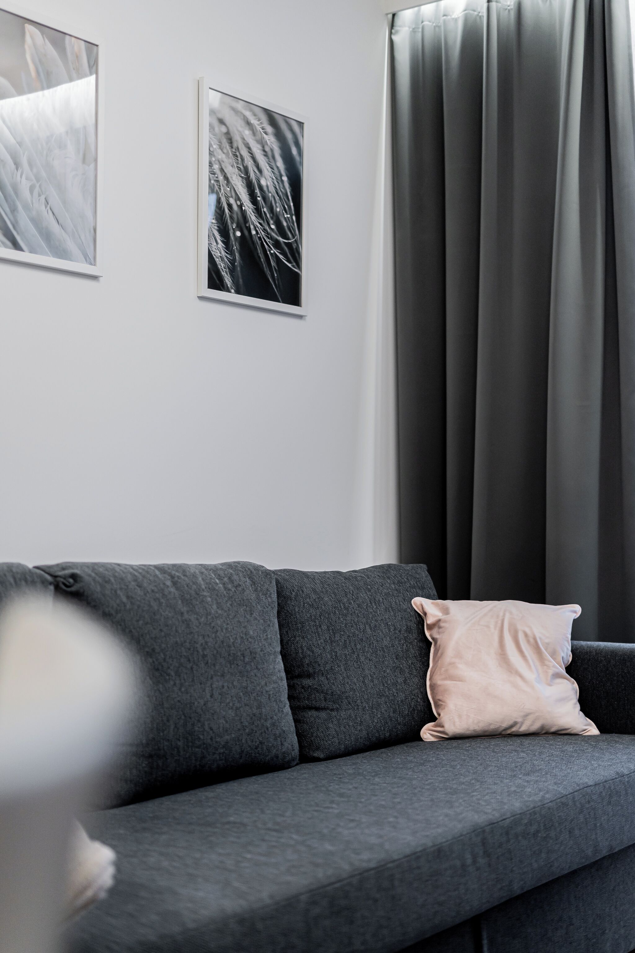 A grey sofa with a single light pink pillow, a white wall, and two framed pictures.