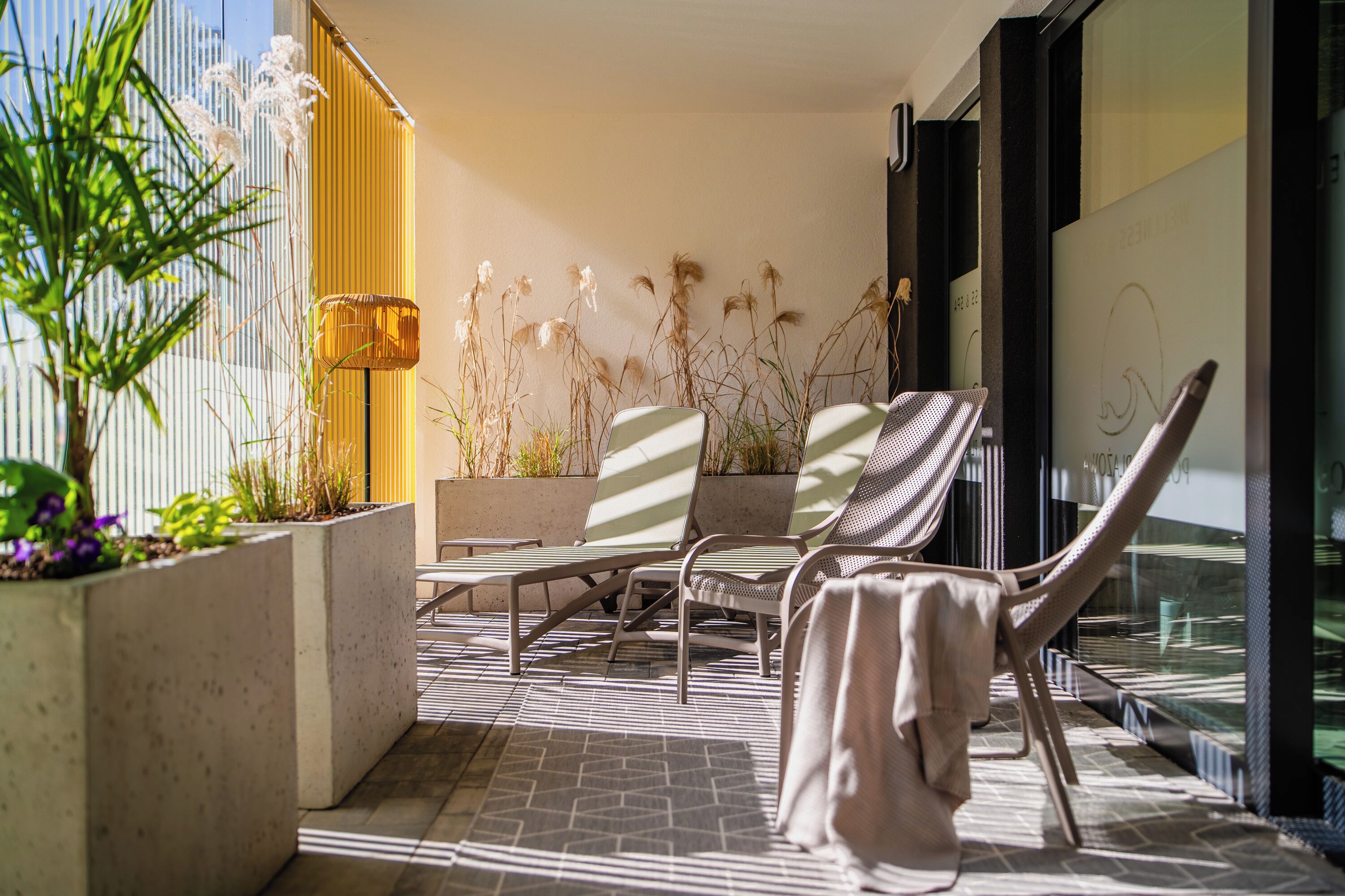 A sunlit outdoor seating area with lounge chairs and planters.