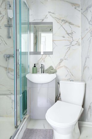 Shower, hair dryer, towels