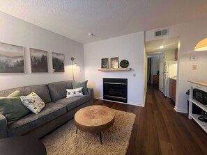 Télévision, cheminée, espaces bureaux