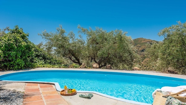 A swimming pool with a clear blue water, surrounded by olive trees and a hilly landscape.