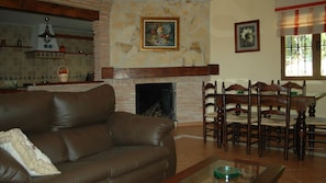 Télévision, cheminée, lecteur de DVD