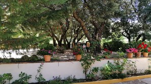 المنطقة المحيطة بالمنشأة