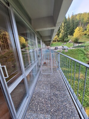 Property grounds - Relaxation and nature in the middle of the mountains, on the ski slopes (MEZZANA)