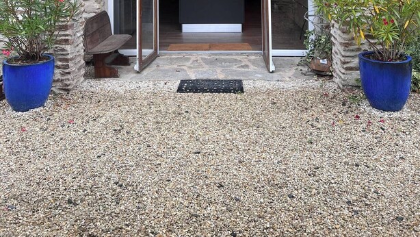 A stone building entrance with a glass door, two potted plants, and a bench.