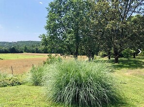 Property grounds - Charming modernised house with swimmingpool and view (Fumel)