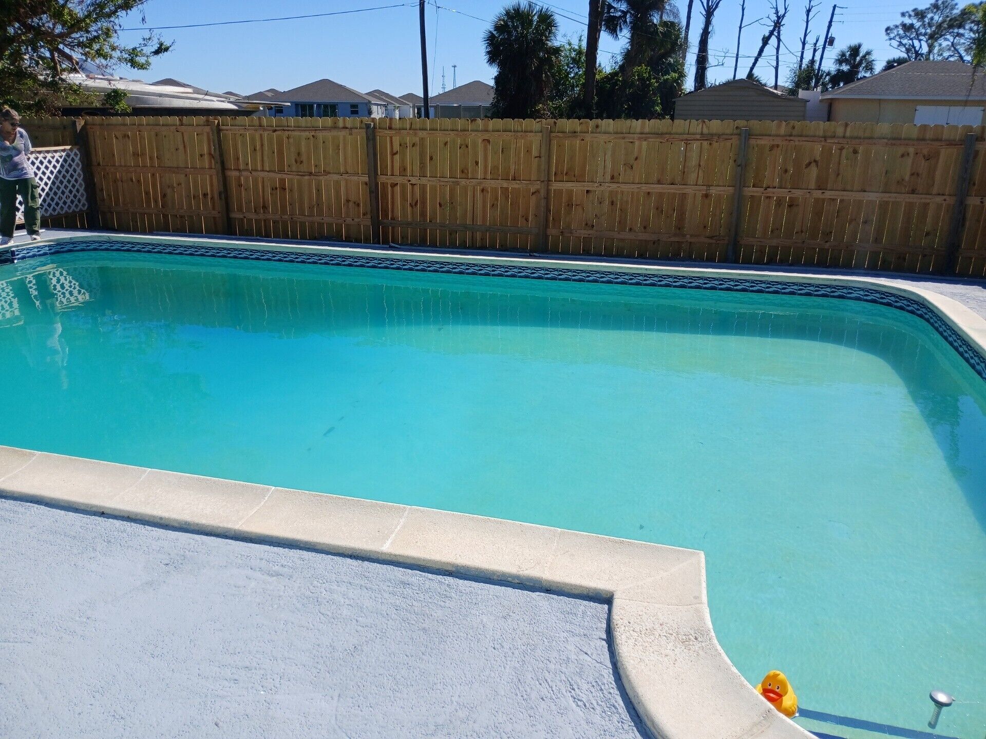 A rectangular swimming pool with a wooden fence in the background.