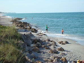 Playa