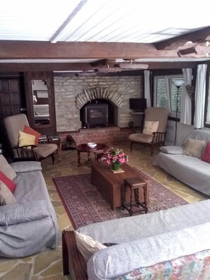 TV, fireplace, books