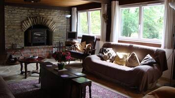 Televisión, chimenea y libros