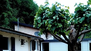 A house with a small front yard, a tree, and a dog sitting on the grass. - Private cottage with it's own fishing & pet friendly! (Civray)