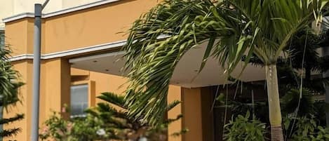 Dobbeltrom – deluxe, byutsikt | Byutsikt