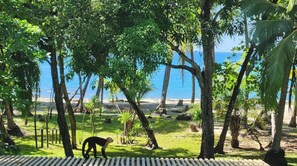Relax on the ocean-view deck surrounded by lush trees.