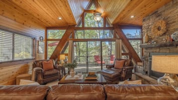 Smart TV, fireplace, books