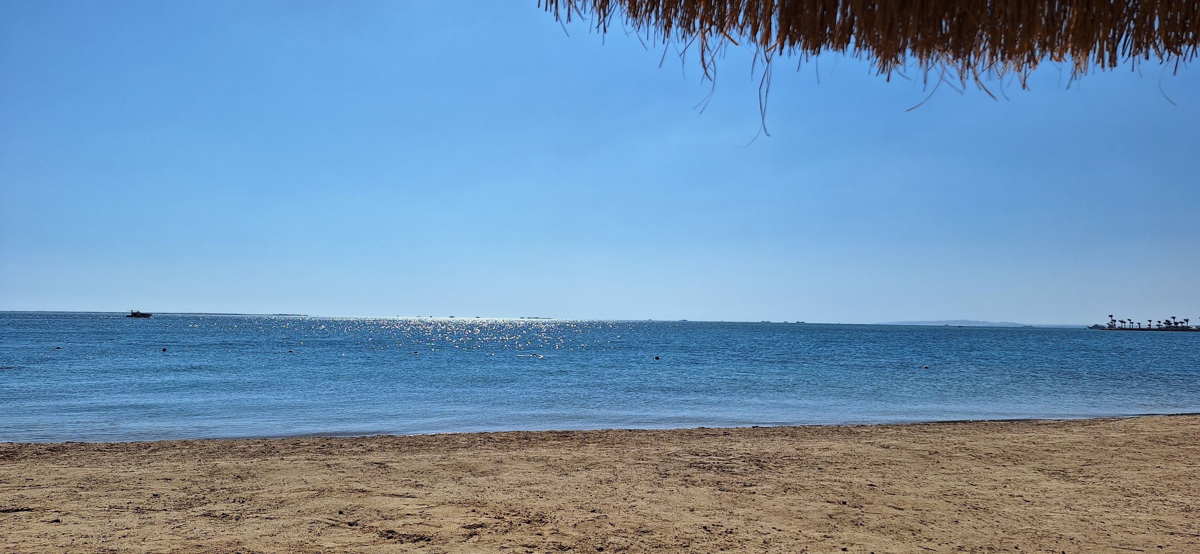 Playa en los alrededores, camastros y toallas de playa 