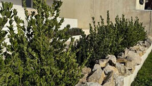 A modern house with a stone retaining wall and green shrubs. - Waterfront house Les Roches  (Rochefort-sur-Nenon)
