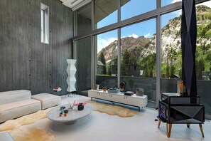 Smart TV, chimenea, libros, estéreo