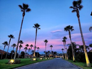 Property grounds - 9008 PM - 5BD Serenity Villa: A Paradise Retreat (Bay Lake)