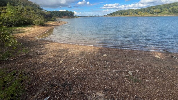 Paisaje natural con un lago, un sendero de tierra y abundante vegetación.