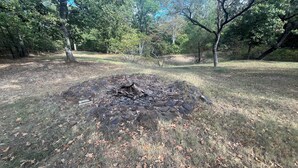 Un camping con un pozo de fuego rodeado de rocas y hojas secas.