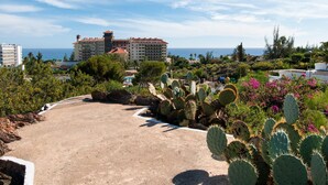 A resort with a paved pathway, cacti, and a building with a red roof in the background.