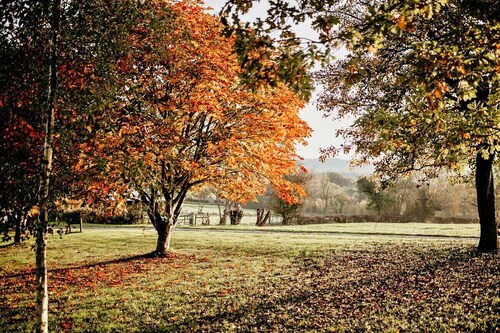 Willow Glamping Pod
