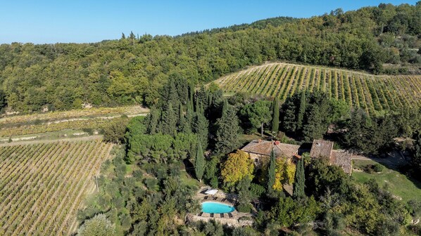 Un vignoble avec des rangées de vignes, une piscine et une maison entourée d’arbres.