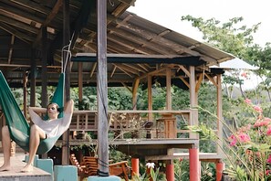 Huisje | Terrein van de accommodatie