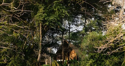 Balsa Nueva Lodge