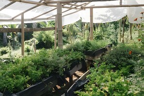 Huisje | Terrein van de accommodatie