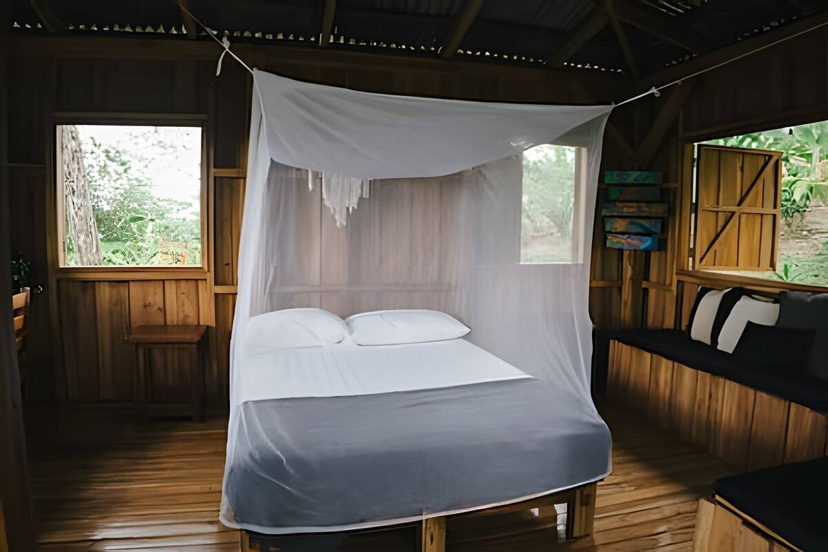 Cabane