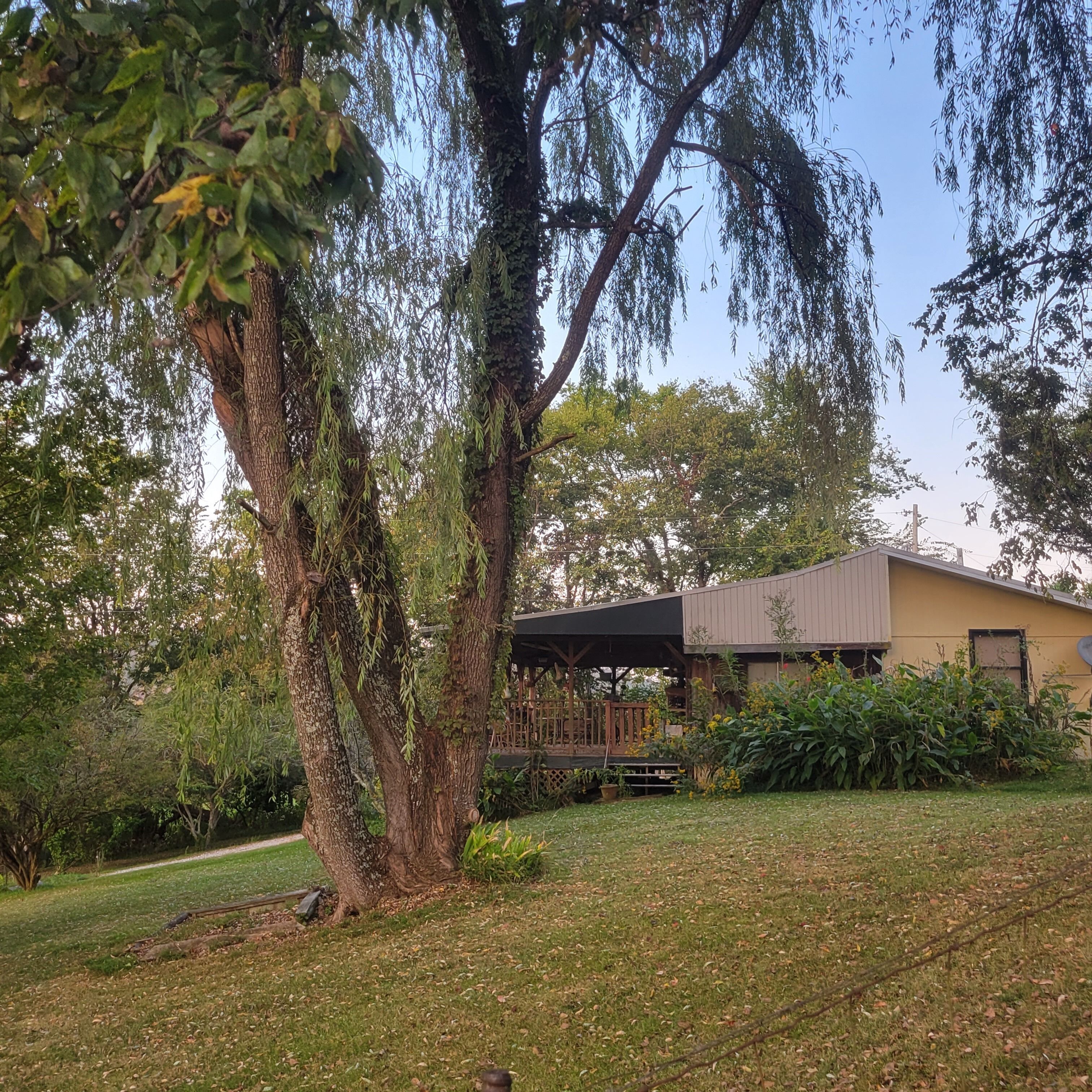 Overnatningsstedets område