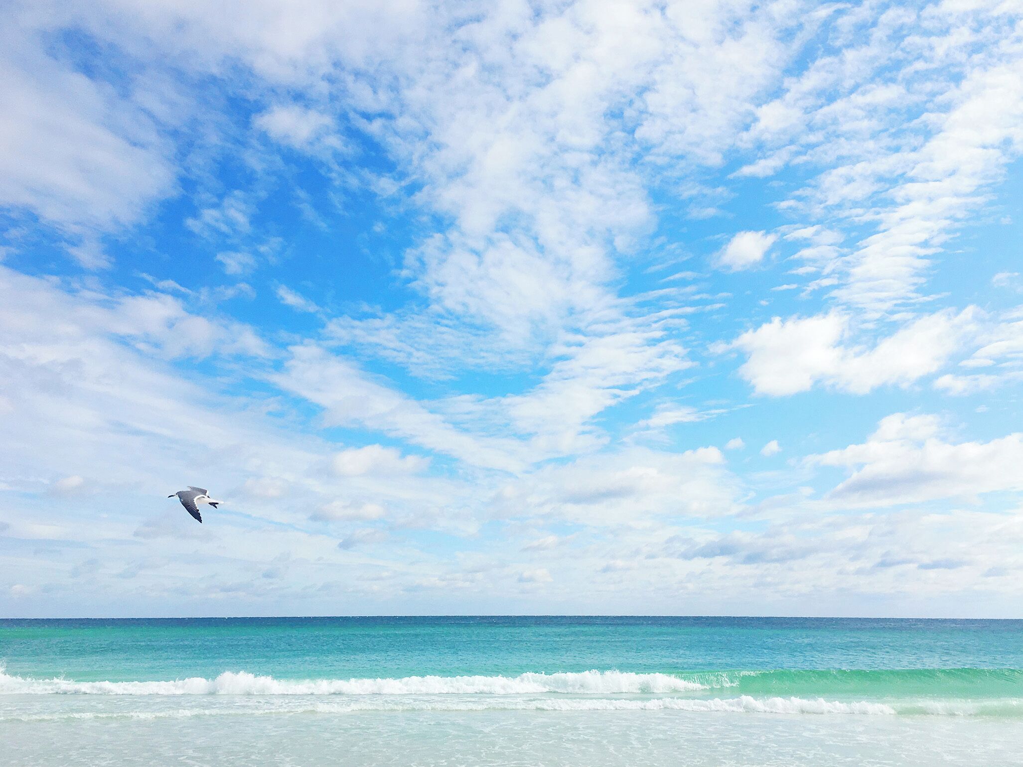 Uma praia com céu limpo e ondas.