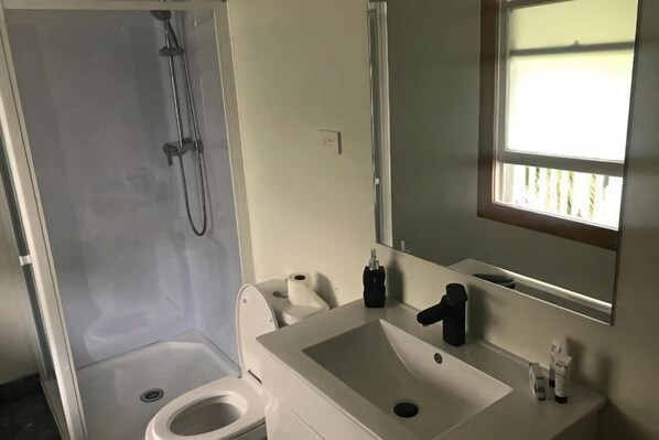 A bathroom with a shower, toilet, sink, and mirror. - Te Puia Hot Springs Hotel (Te Puia Springs)