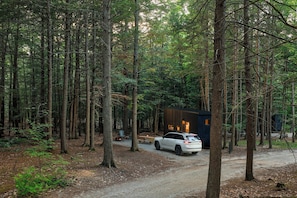 En skov med en hytte og en hvid bil parkeret på en grusvej.