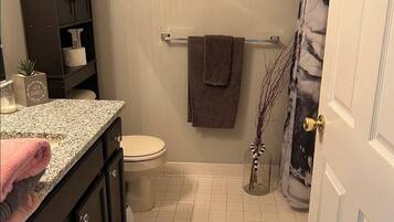 Asciugacapelli, asciugamani, sapone, shampoo