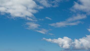 Double Room, 1 King Bed with Sofa bed, Courtyard View | View from room