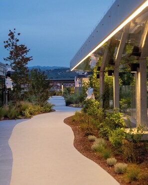 Rooftop terrace
